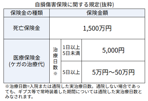 ファミリーバイク特約の自損傷害保険金の規定の抜粋